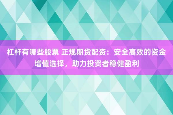 杠杆有哪些股票 正规期货配资：安全高效的资金增值选择，助力投资者稳健盈利