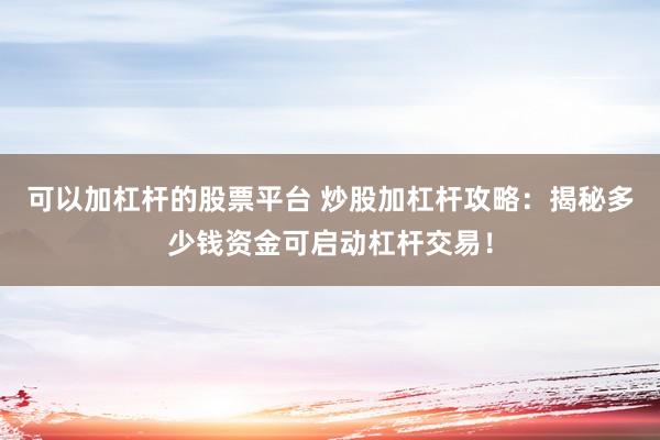 可以加杠杆的股票平台 炒股加杠杆攻略：揭秘多少钱资金可启动杠杆交易！