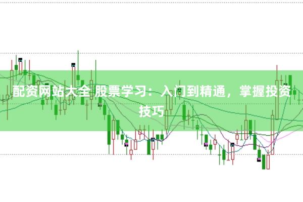 配资网站大全 股票学习：入门到精通，掌握投资技巧