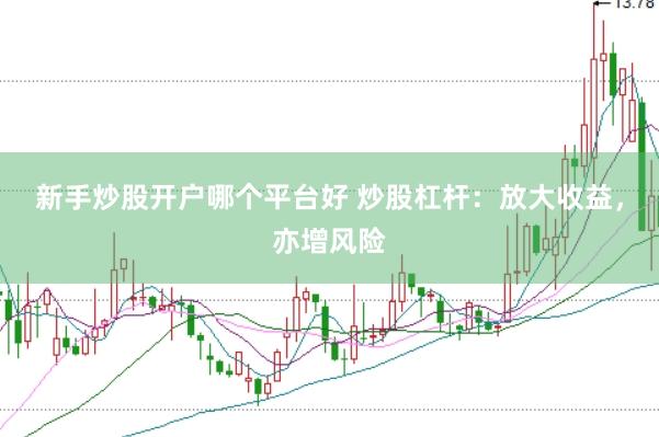 新手炒股开户哪个平台好 炒股杠杆：放大收益，亦增风险