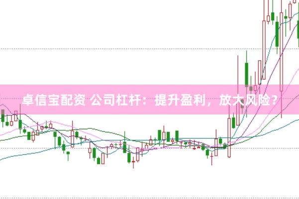 卓信宝配资 公司杠杆：提升盈利，放大风险？