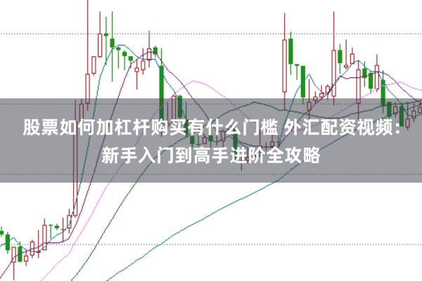 股票如何加杠杆购买有什么门槛 外汇配资视频：新手入门到高手进阶全攻略