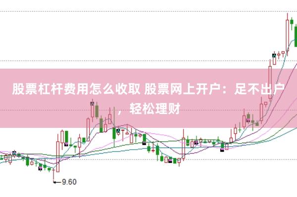 股票杠杆费用怎么收取 股票网上开户：足不出户，轻松理财