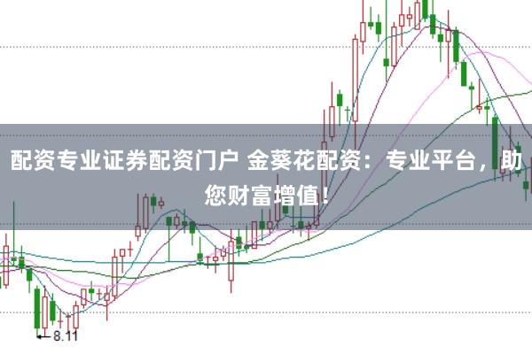 配资专业证券配资门户 金葵花配资：专业平台，助您财富增值！