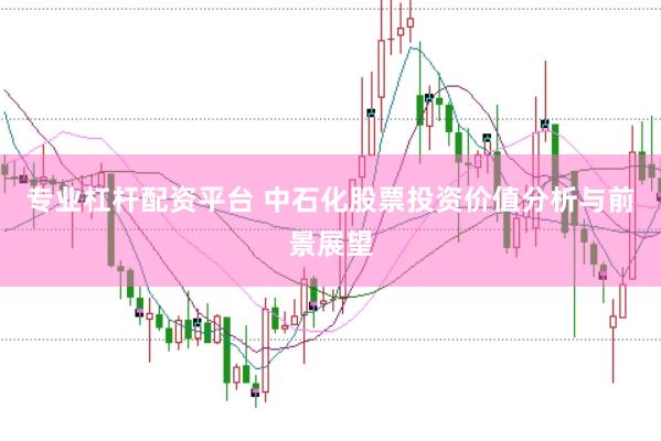 专业杠杆配资平台 中石化股票投资价值分析与前景展望