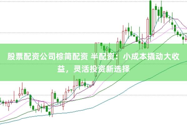 股票配资公司棕简配资 半配资：小成本撬动大收益，灵活投资新选择