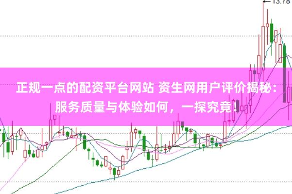 正规一点的配资平台网站 资生网用户评价揭秘：服务质量与体验如何，一探究竟！
