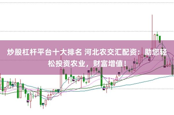 炒股杠杆平台十大排名 河北农交汇配资：助您轻松投资农业，财富增值！