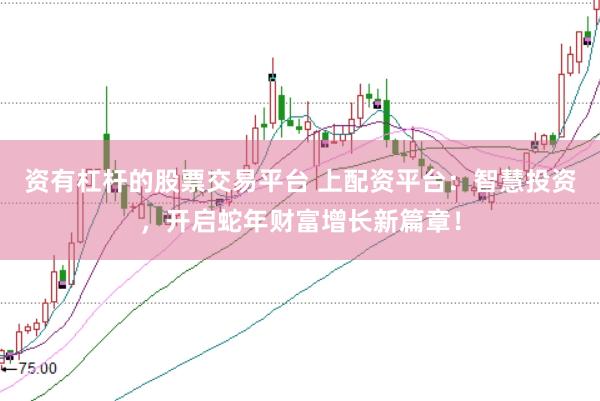 资有杠杆的股票交易平台 上配资平台：智慧投资，开启蛇年财富增长新篇章！