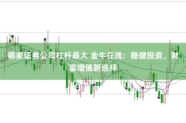 哪家证券公司杠杆最大 金牛在线：稳健投资，财富增值新选择