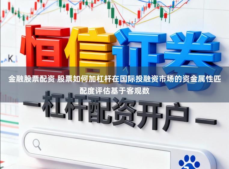 金融股票配资 股票如何加杠杆在国际投融资市场的资金属性匹配度评估基于客观数