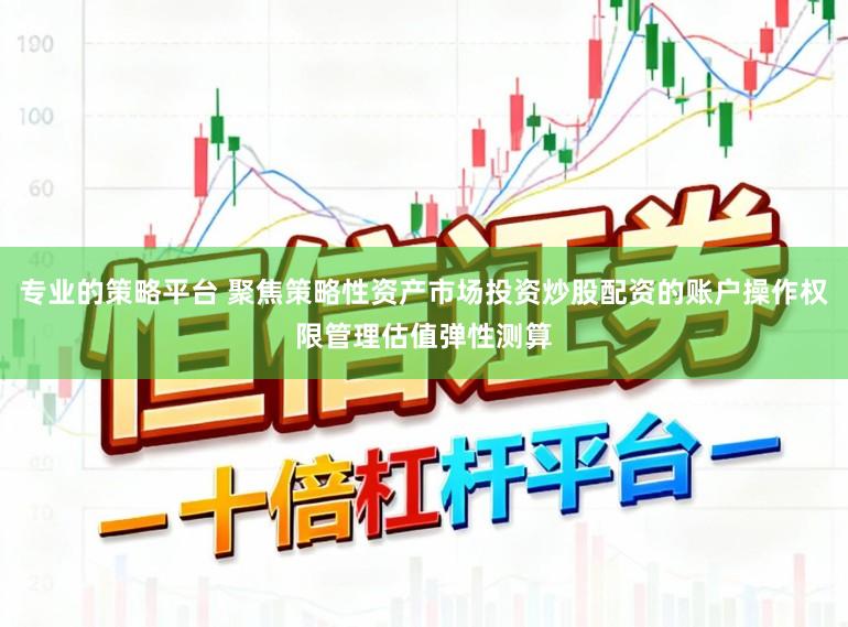 专业的策略平台 聚焦策略性资产市场投资炒股配资的账户操作权限管理估值弹性测算