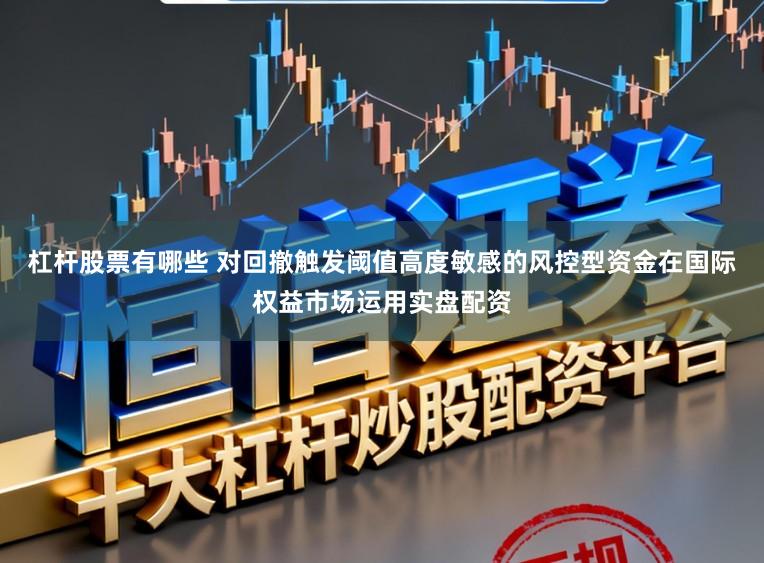 杠杆股票有哪些 对回撤触发阈值高度敏感的风控型资金在国际权益市场运用实盘配资