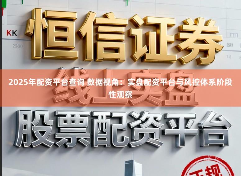 2025年配资平台查询 数据视角：实盘配资平台与风控体系阶段性观察